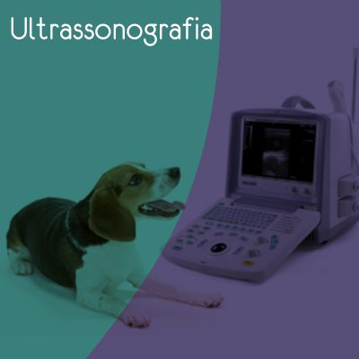 ultrassonografia1495047380